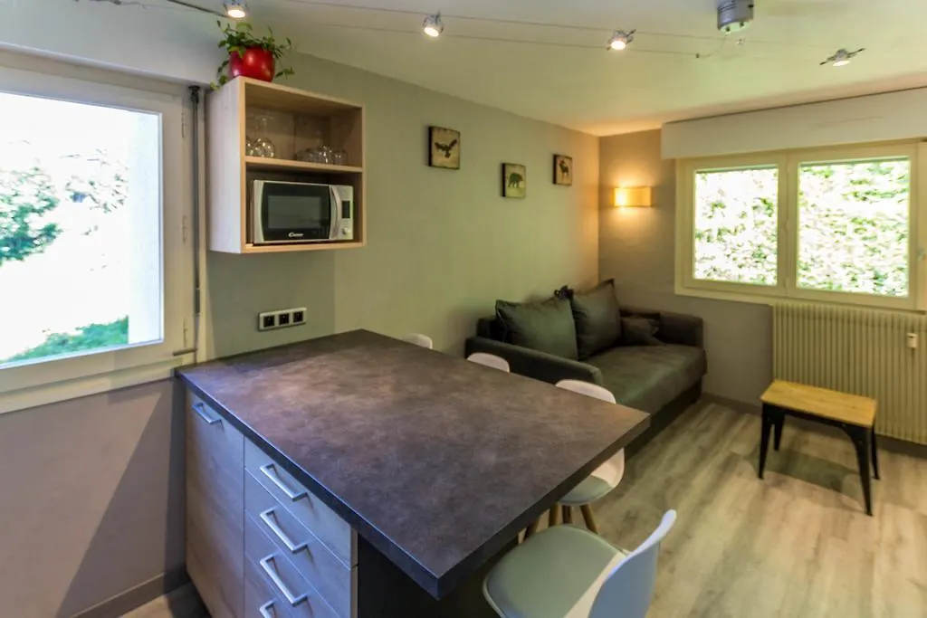 Studio Belmont - Centre Village La Clusaz - Aravistour France